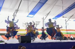 Gujarati Cultural Garba